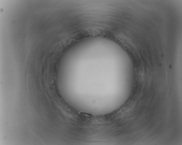 X0000076380865200610202037