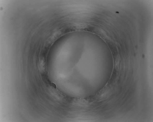 X0000076380866200610202037