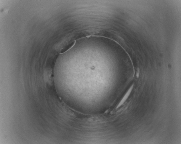 X0000076380867200610202037