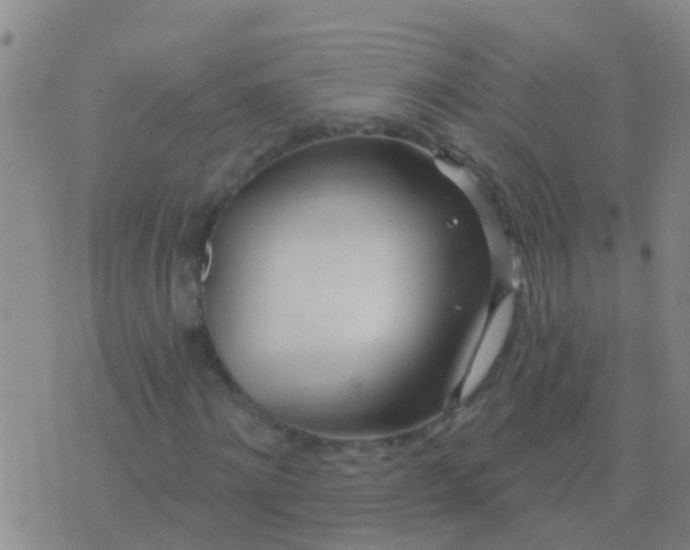 X0000076380868200610202037