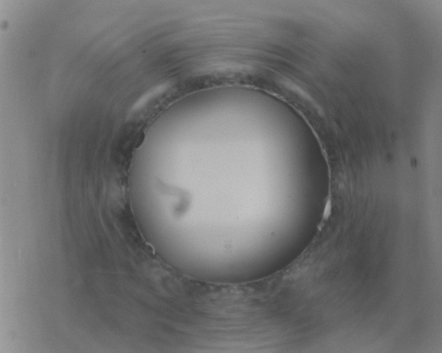 X0000076380869200610202037