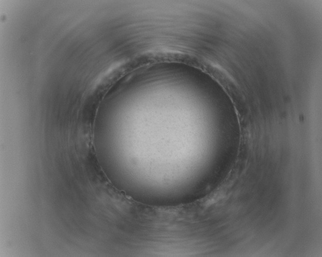 X0000076380870200610202037