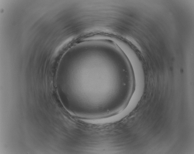 X0000076380872200610202037