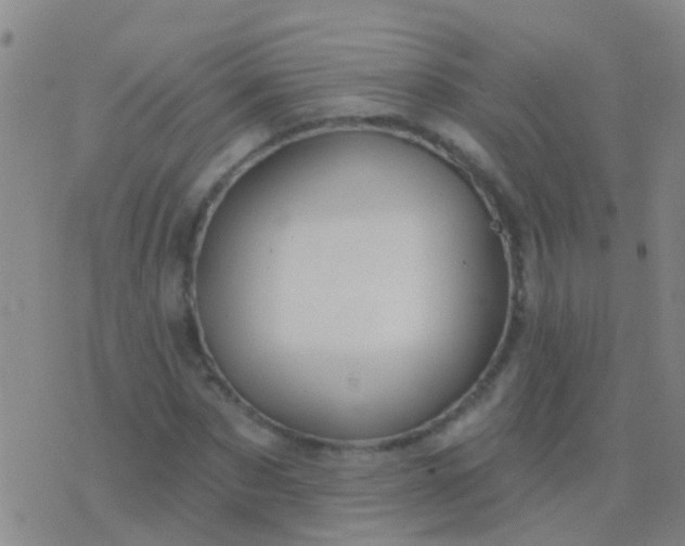 X0000076380873200610202037