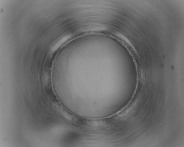 X0000076380874200610202037