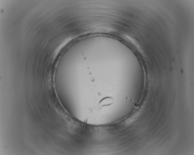 X0000076380875200610202037