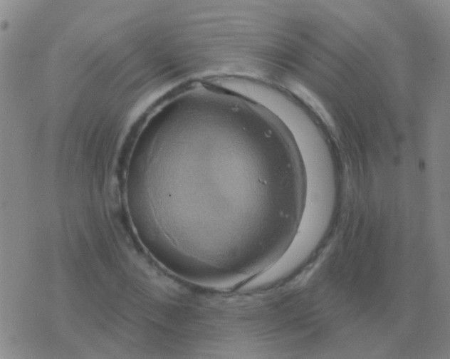 X0000076380876200610202037