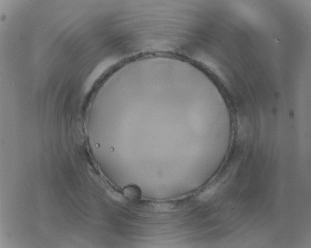 X0000076380878200610202037