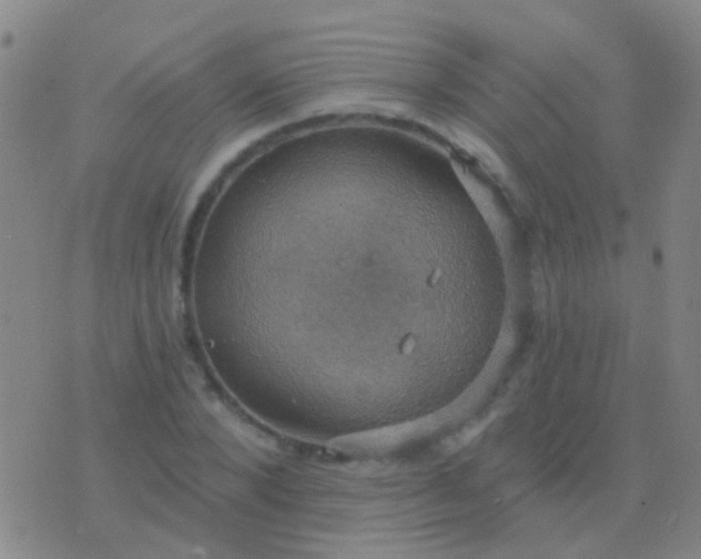 X0000076380880200610202036