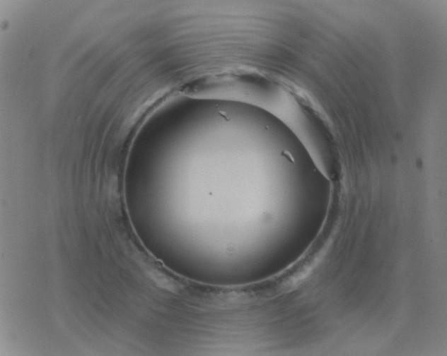 X0000076380881200610202036