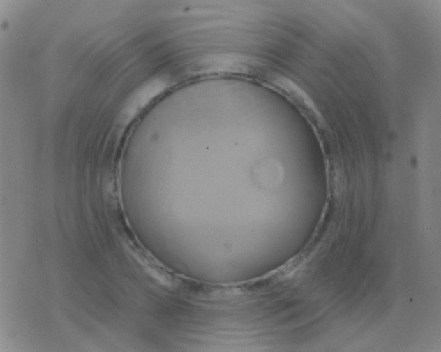 X0000076380882200610202036