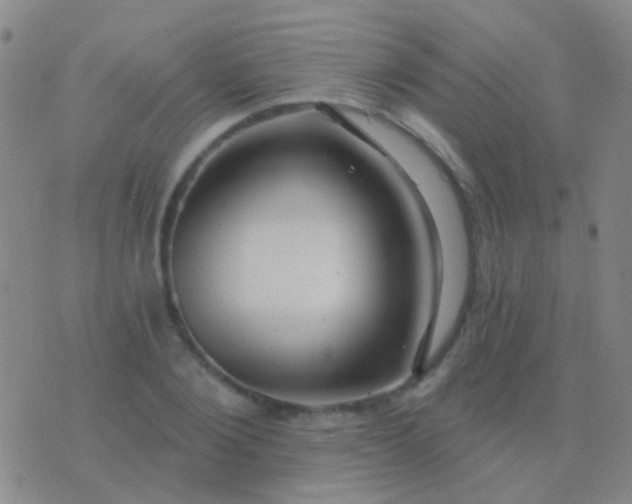 X0000076380884200610202036