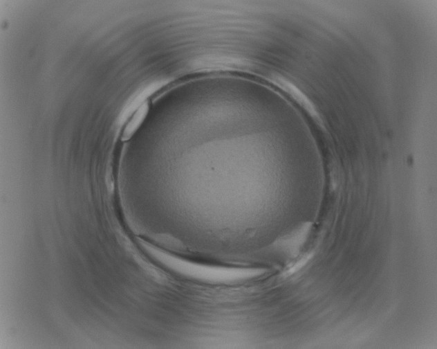 X0000076380885200610202036