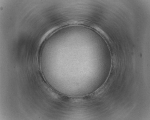 X0000076380886200610202036