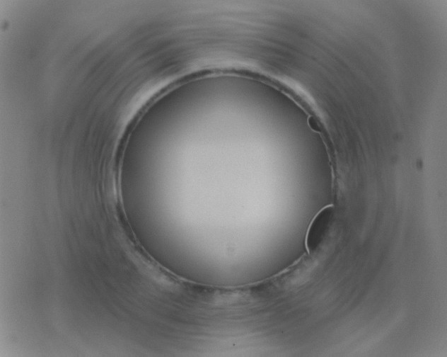 X0000076380887200610202036