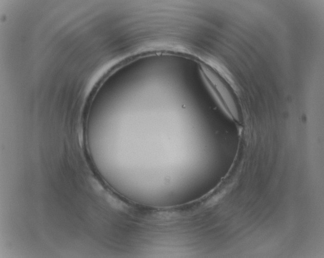 X0000076380888200610202036