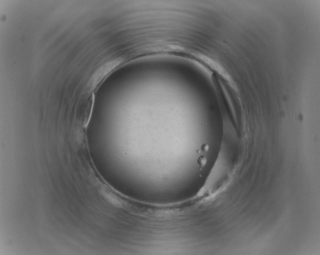 X0000076380889200610202036