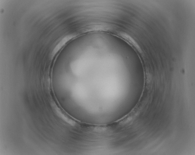 X0000076380890200610202036