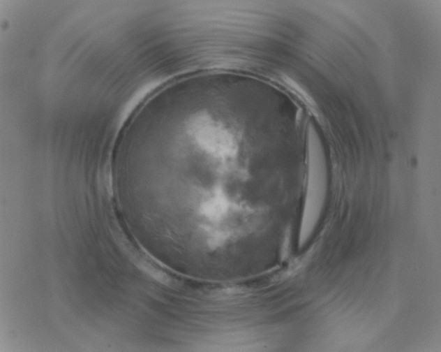 X0000076380891200610202036