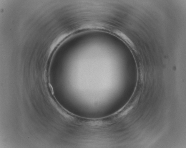 X0000076380893200610202036