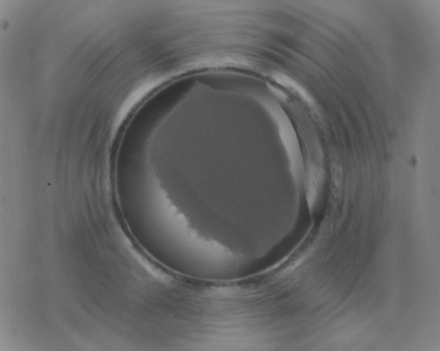 X0000076380894200610202036