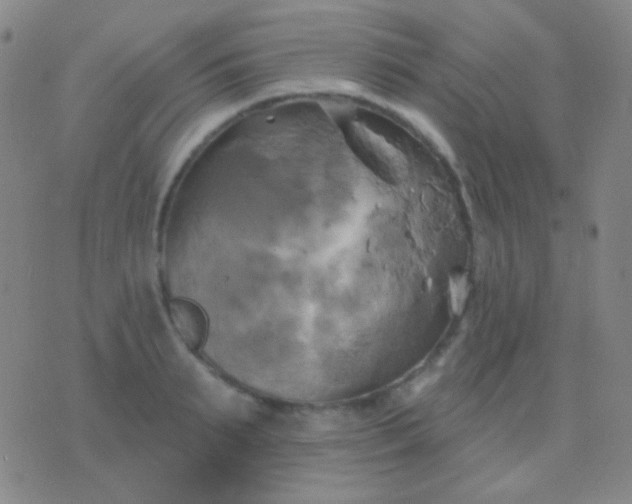 X0000076380895200610202036