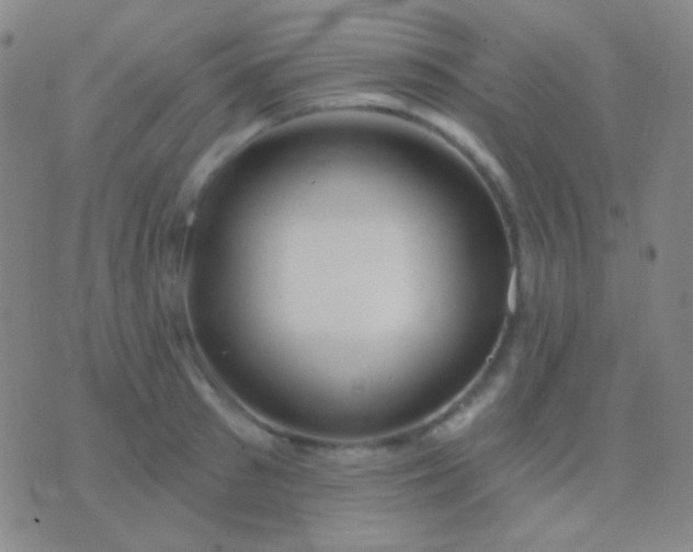 X0000076380897200610202036