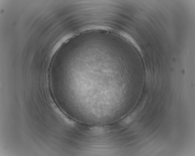 X0000076380898200610202036