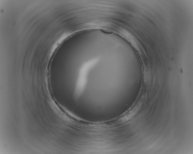 X0000076380899200610202036