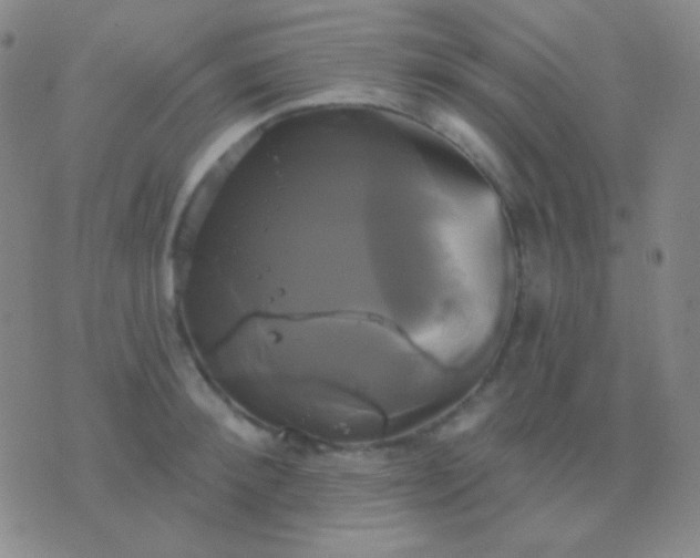 X0000076380900200610202036