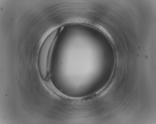 X0000076380901200610202036