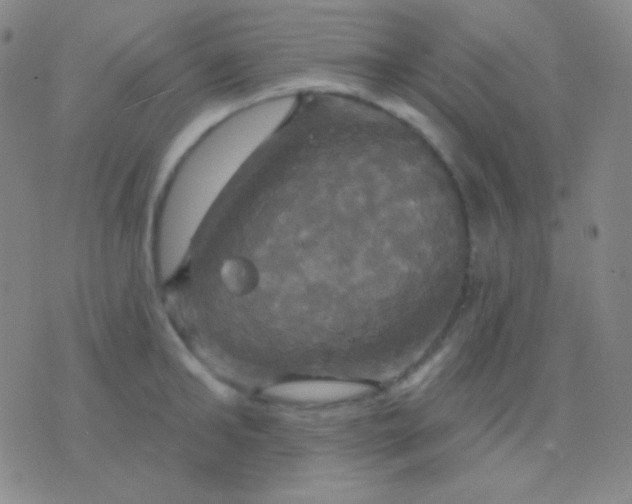 X0000076380902200610202036