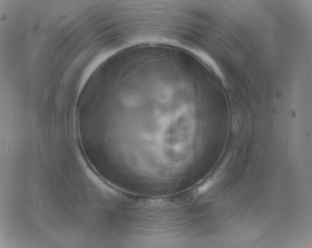 X0000076380903200610202036