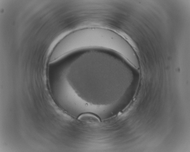 X0000076380904200610202036