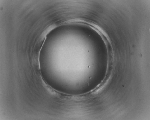 X0000076380905200610202036