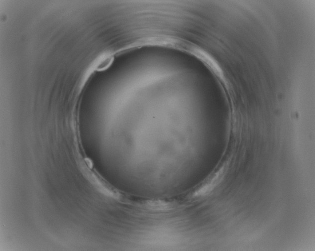 X0000076380907200610202036