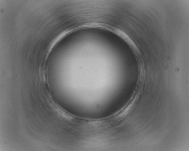 X0000076380908200610202036