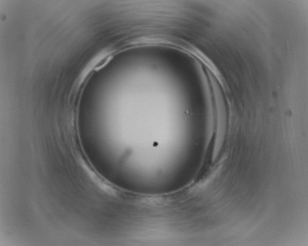 X0000076380909200610202036