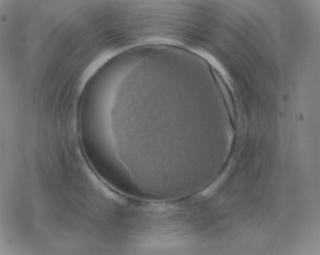 X0000076380910200610202036