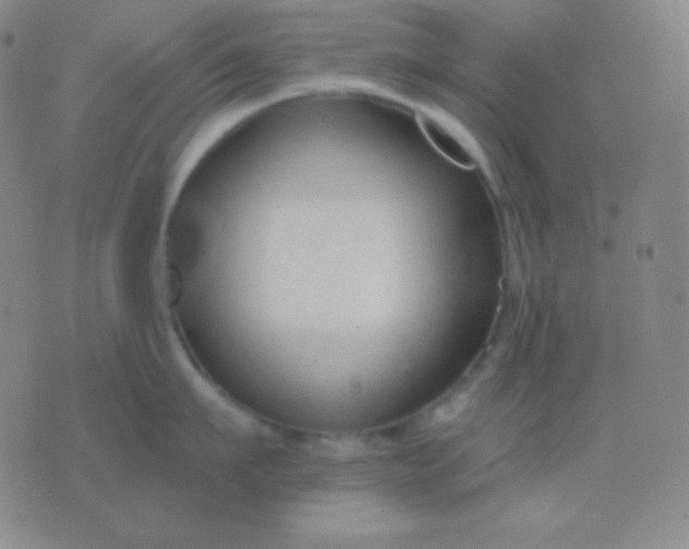 X0000076380911200610202036