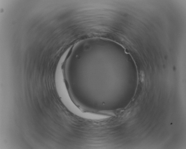 X0000076380915200610202035