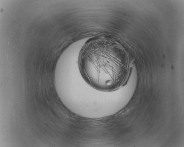 X0000076380916200610202035