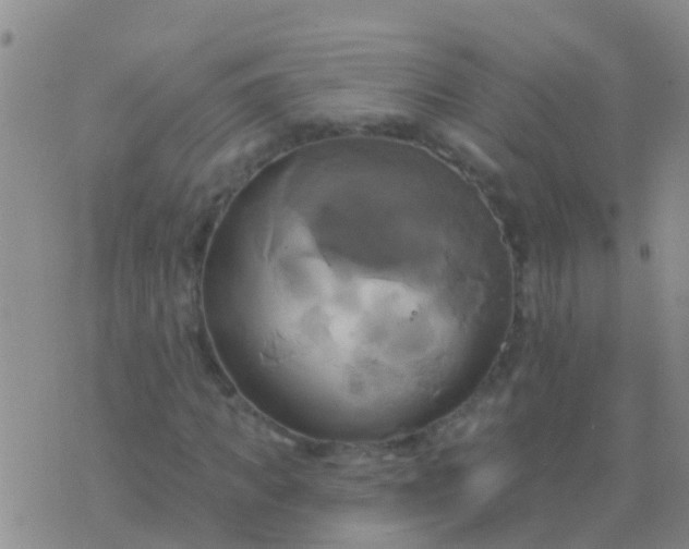 X0000076380917200610202035