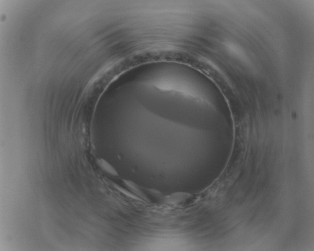 X0000076380919200610202035