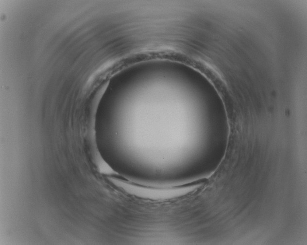 X0000076380920200610202035