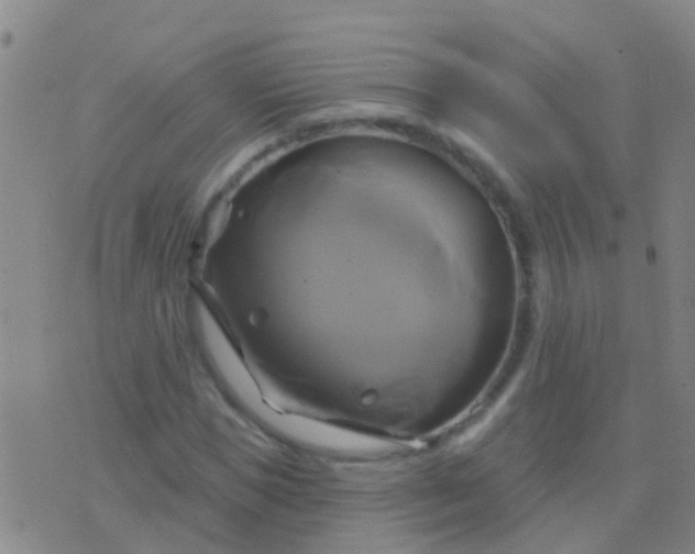 X0000076380921200610202035