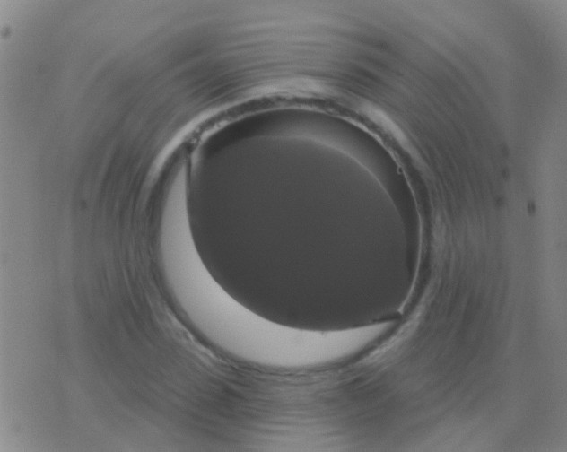 X0000076380923200610202035