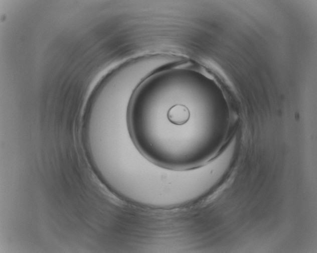 X0000076380924200610202035