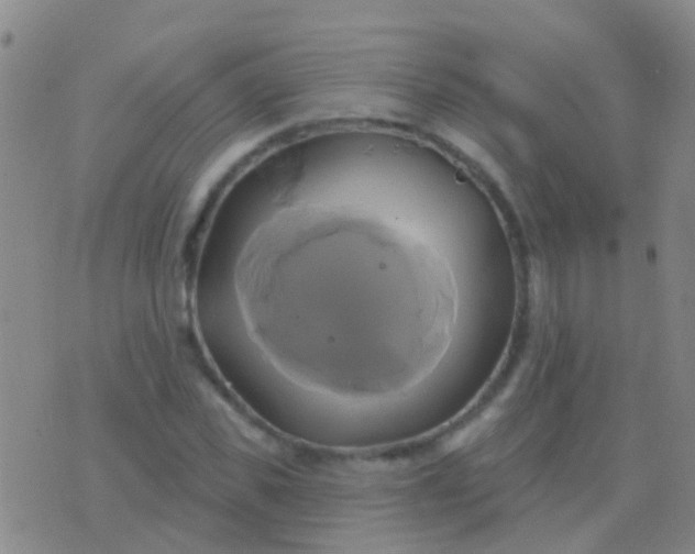 X0000076380925200610202035