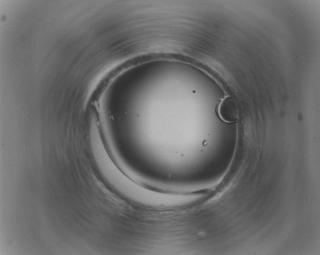 X0000076380926200610202035